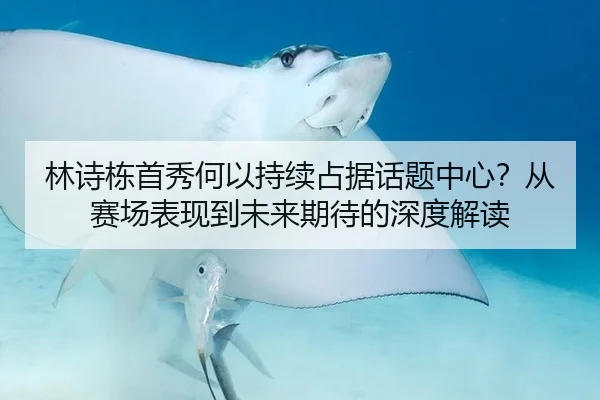 林诗栋首秀何以持续占据话题中心？从赛场表现到未来期待的深度解读 | j9